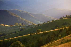 Zadbaj o zdrowie: Kluczowe kroki do lepszej kondycji fizycznej i psychicznej
