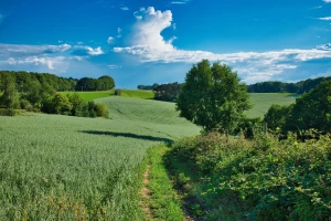 Zadbaj o zdrowie: Kluczowe nawyki, które zmienią Twoje życie